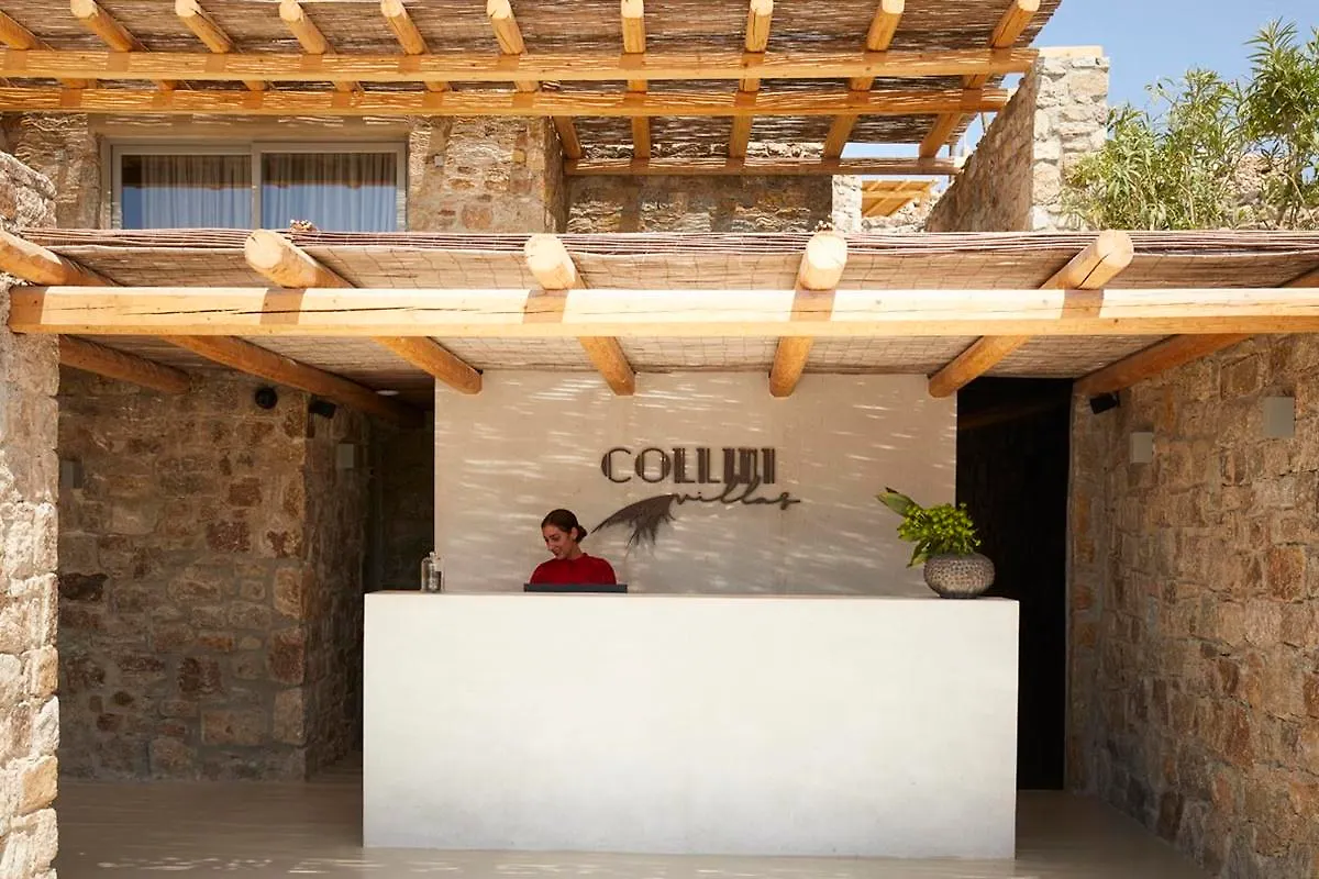 Collini Villas Mykonos Mykonos Town
